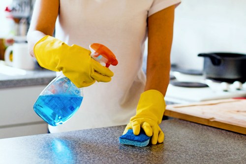 Steam cleaning process for a sofa in Muswell Hill
