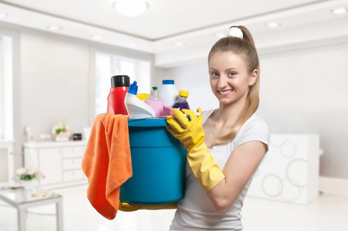 Leather upholstery care and cleaning treatment