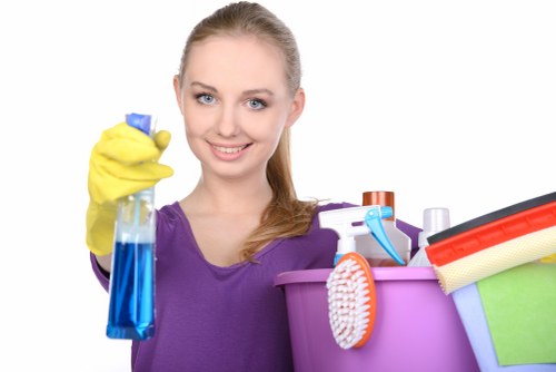 Local carpet cleaning team assessing carpet condition before treatment